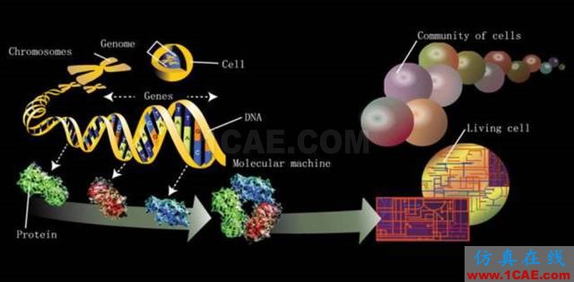 【資訊】強(qiáng)勢(shì)圍觀！Science公布的125個(gè)科學(xué)前沿問題!圖片61